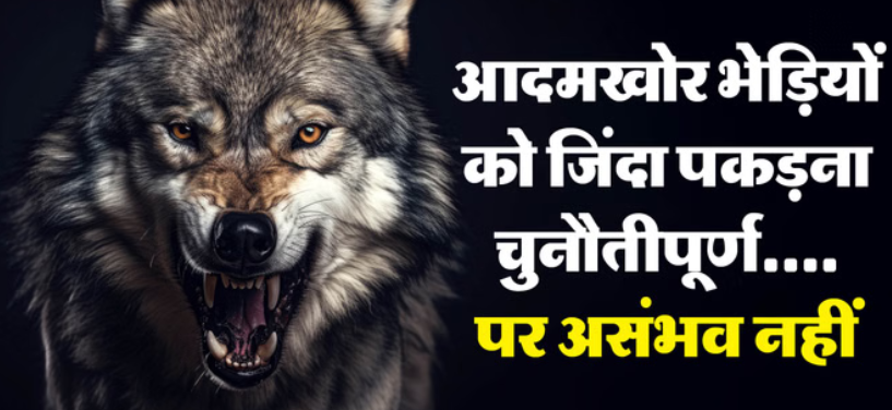 Screenshot 2025-12-16 133225.png